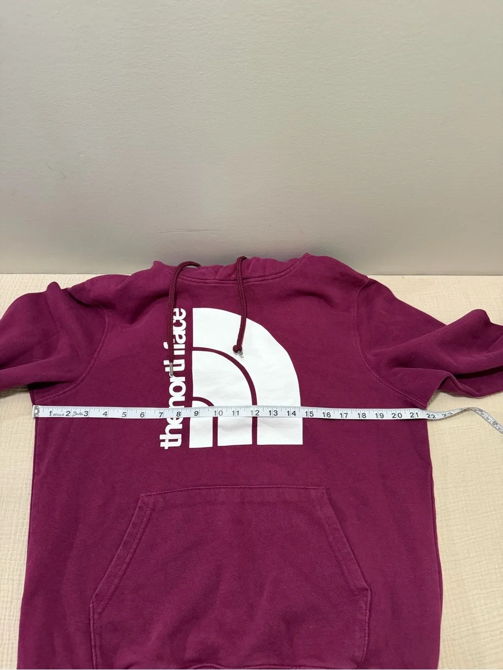 The North Face Men's Plum Pullover Hoodie with White Logo